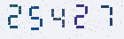 자동입력방지 숫자